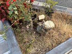社員画像１